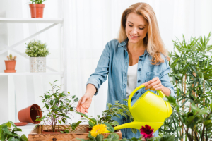 What you need to know about hydrangeas