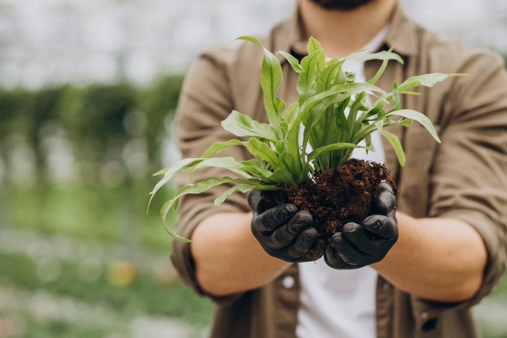 10 small garden planting ideas that really work