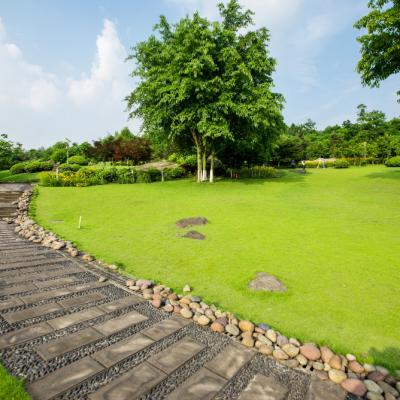 Grassland Landscape Greening Environment Park Background