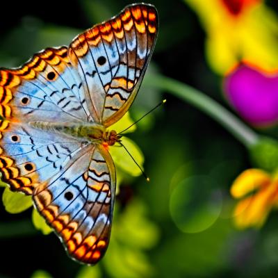 Alfred Schrock Shoe2y51ux0 Unsplash