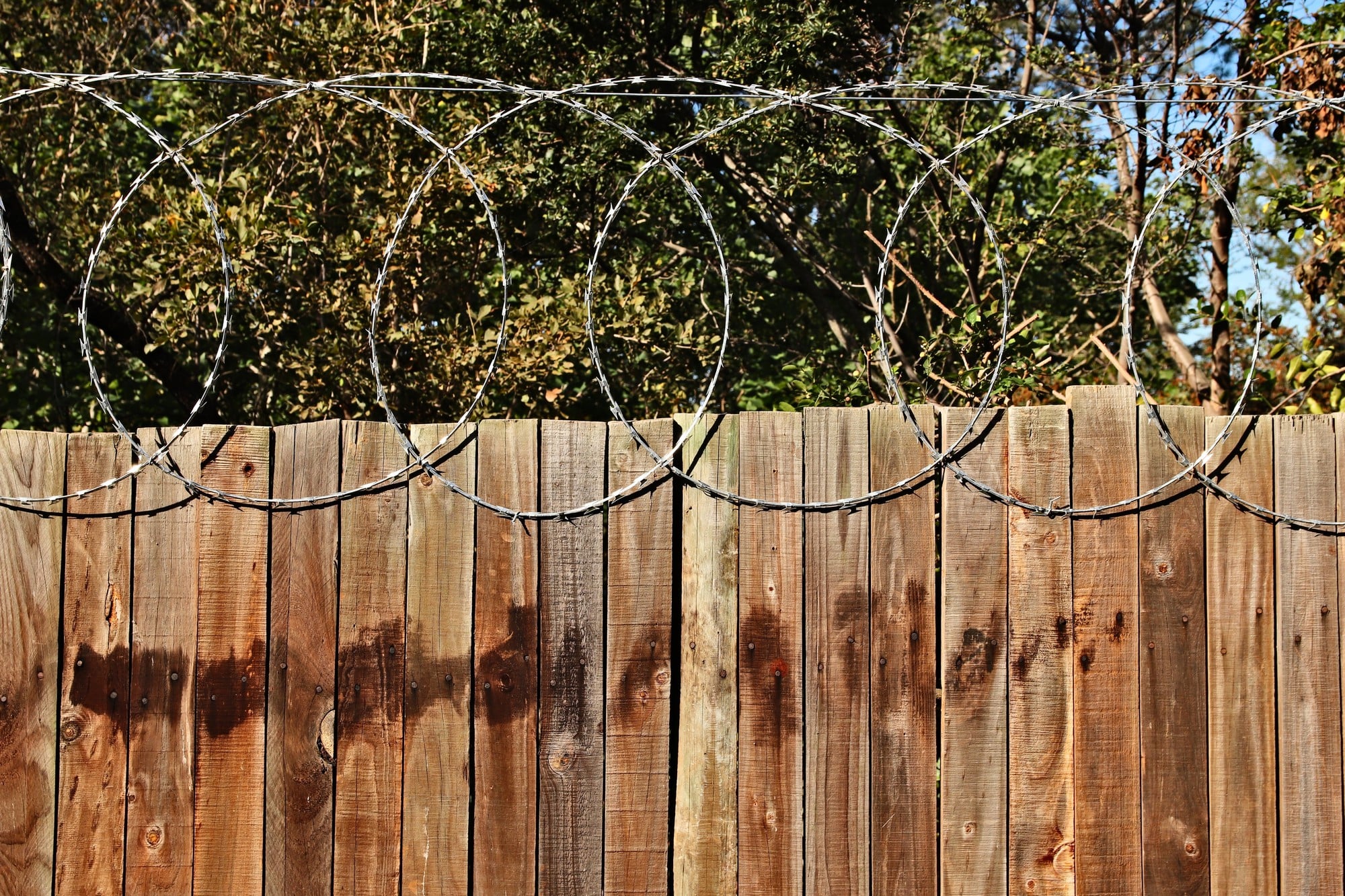 Iron Fences