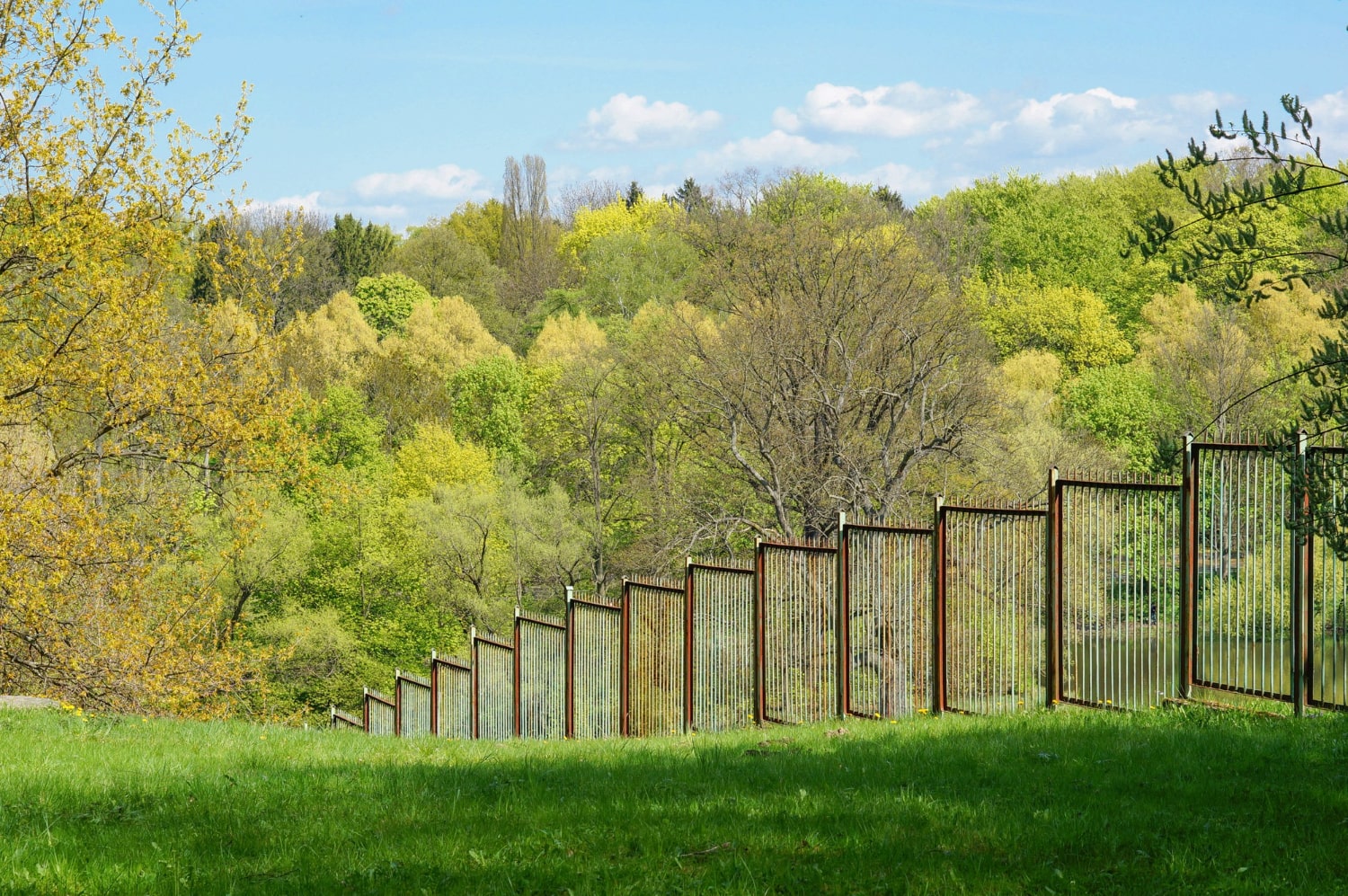 Vinyl Fences